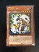 Yugioh Chain Dog STBL-EN034 Rare 1st Edition VLP/NM