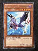 Yugioh Blackwing - Kochi The Daybreak DP11-EN010 1st Edition Rare NM