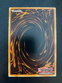 Yugioh Naturia Pumpkin STBL-EN031 Common 1st Edition VLP/NM