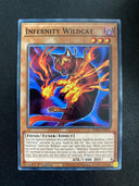 Yugioh Infernity Wildcat PHRA-EN017 Common 1st Edition NM