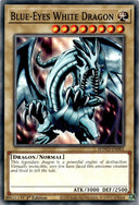 Yugioh Blue-Eyes White Dragon SDWD-EN001 Common 1st Edition NM