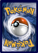 Pokemon Blaziken V 020/198 Chilling Reign Full Art Holo NM