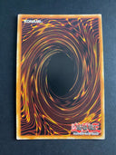 Yugioh Blackwing Tamer - Obsidian Hawk Joe PGL2-EN012 Premium Gold Rare 1st LP