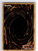 Yugioh Scroll of Bewitchment SGX2-ENC12 Common 1st Edition NM