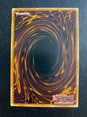 Yugioh Draining Shield YSDJ-EN038 Common 1st Edition HP