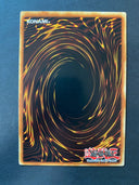 Yugioh Gladiator Beast Bestiari GLAS-EN020 Common 1st Edition NM