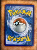 Pokemon Walrein 48/160 Primal Clash Reverse Holo LP/VLP