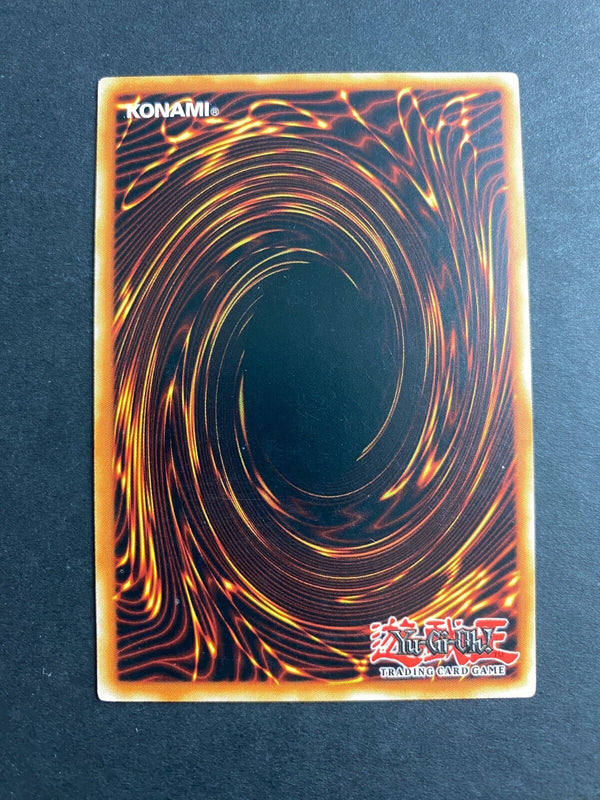 Yugioh Muddy Mudragon DANE-EN081 Rare 1st Edition LP