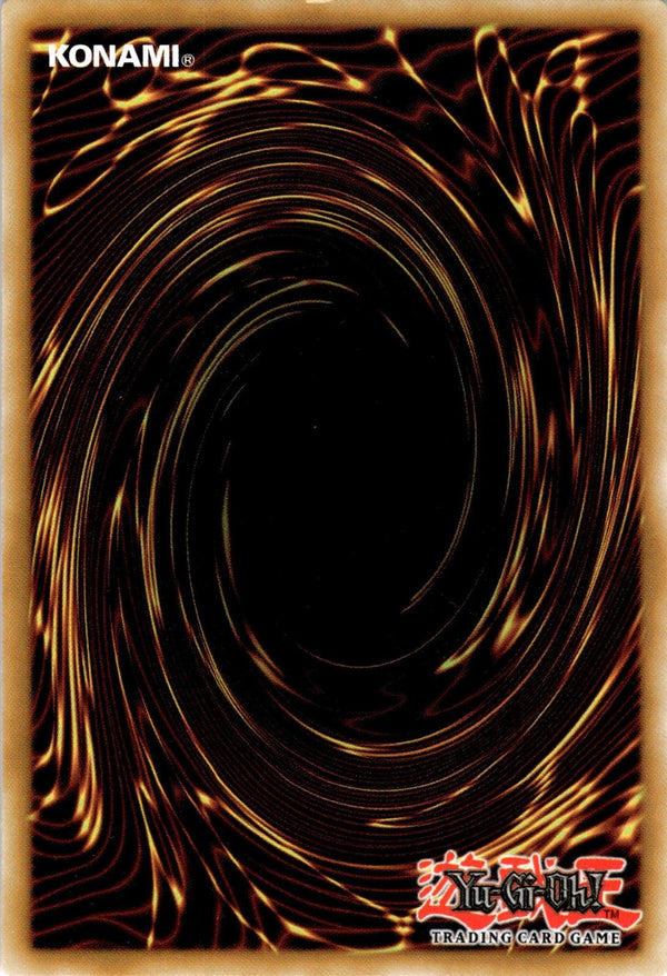 Yugioh Blue-Eyes White Dragon SDWD-EN001 Common 1st Edition NM