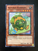 Yugioh Naturia Pumpkin STBL-EN031 Common 1st Edition VLP/NM