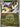 Pokemon Iono's Kilowattrel 072/217 Ascended Heroes Pokeball Reverse Holo NM