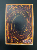 Yugioh Naturia Ragweed HA04-EN050 Super Rare 1st Edition MP