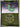 Pokemon Dreepy 158/217 Ascended Heroes Quick Ball Reverse Holo NM