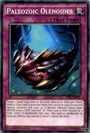 Yugioh Paleozoic Olenoides TDIL-EN095 Common 1st Edition LP