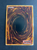 Yugioh Aussa the Earth Channeler POTE-EN032 Ultra Rare 1st Edition NM