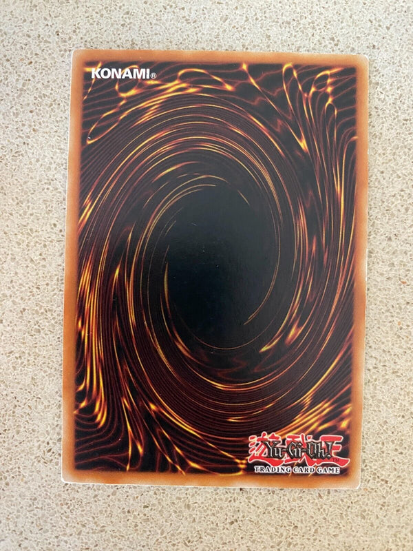 Yugioh Dinomist Eruption SHVI-EN073 Common 1st Edition VLP