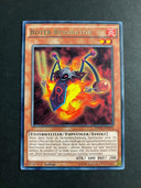 Yugioh Roter Resonator DPDG-DE024 (German) Rare 1st Edition VLP/NM