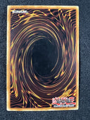 Yugioh Blackwing - Blizzard the Far North RGBT-EN010 Rare Unlimited VLP