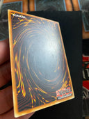 Yugioh The Gift of Greed TAEV-EN079 Common Unlimited Edition MP