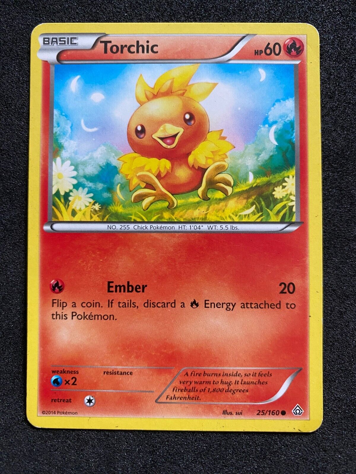 Pokemon Torchic 25/160 Primal Clash Non Holo MP-LP