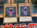 Yugioh D/D Nighthowl SDPD-EN009 (2 Cards) Common 1st Edition HP/LP