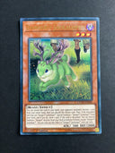 Yugioh Danger!? Jackalope? CYHO-EN085 Ultra Rare 1st Edition HP/MP