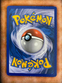 Pokemon Tepig bw02 Black Star Promos Holo HP/MP