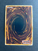 Yugioh D/D/D Flame King Genghis OP19-EN009 Super Rare Unlimited Edition HP/MP