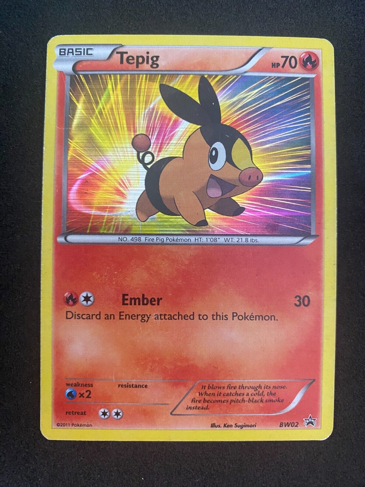 Pokemon Tepig BW02 Black Star Promos Holo MP