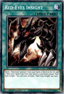 Yugioh Red-Eyes Insight LDS1-EN019 Common 1st Edition MP/LP