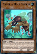 Yugioh Naturia Mole Cricket MP23-EN170 Super Rare 1st Edition NM