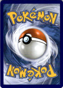 Pokemon Tapu Koko 067/217 Ascended Heroes Holo NM