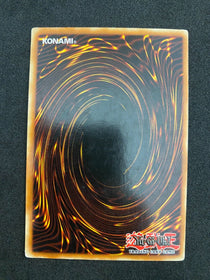 Yugioh D - Shield DP05-EN026 1st Edition Common LP