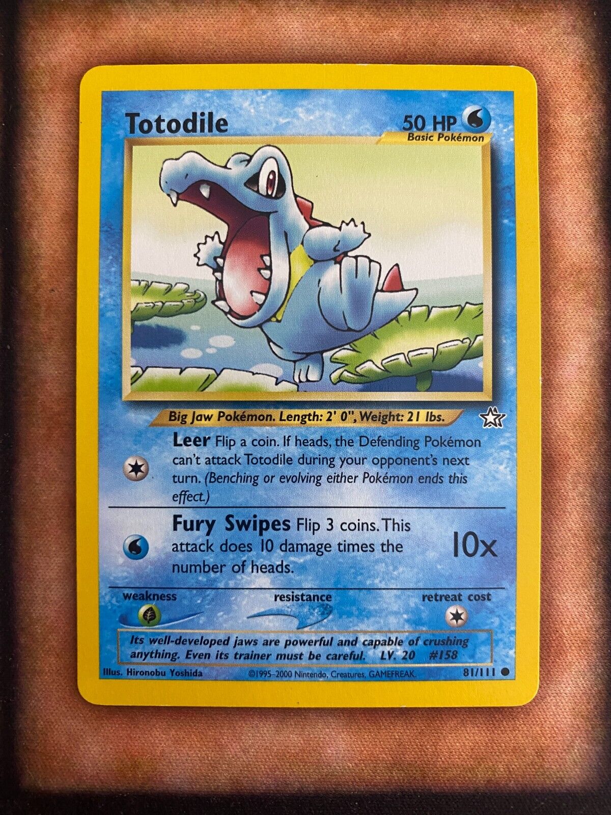 Pokemon Totodile 81/111 Neo Genesis Non Holo VLP/NM