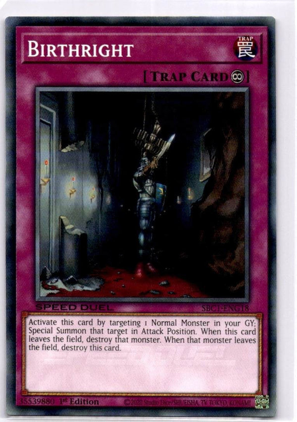 Yugioh Birthright SBC1-ENG18 Common 1st Edition NM