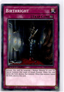 Yugioh Birthright SBC1-ENG18 Common 1st Edition NM