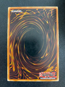 Yugioh The Immortal Bushi PTDN-EN029 Common 1st Edition MP