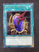 Yugioh Dragon’s Mirror MAGO-EN142 Gold Rare 1st Edition Mint