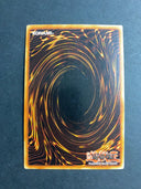 Yugioh Rivalry of Warlords MFC-EN048 Common 1st Edition MP/LP