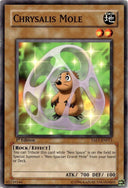 Yugioh Chrysalis Mole TAEV-EN011 Common 1st Edition LP