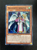 Yugioh Dragunity Senatus MP19-EN087 Common 1st Edition MP/LP