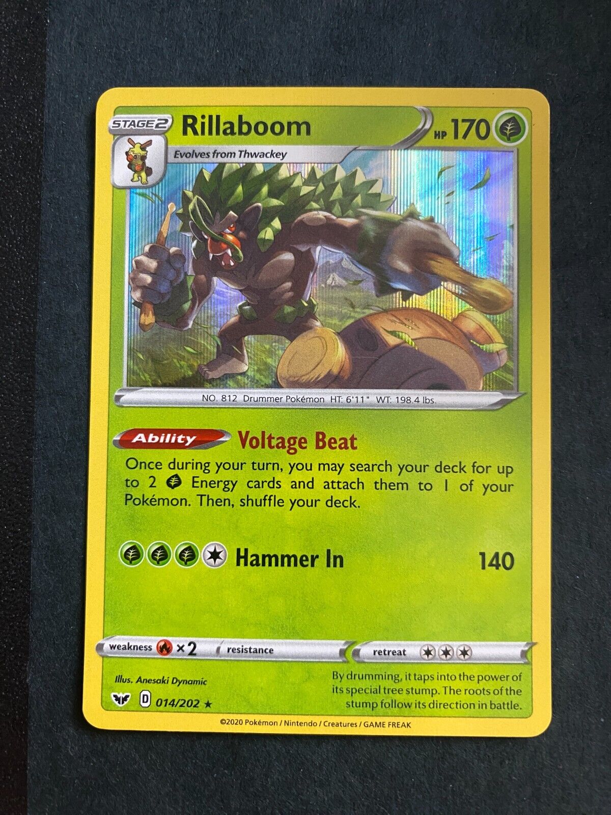 Pokemon Rillaboom 014/202 Sword Shield Base Holo NM