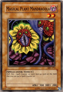 Yugioh Magical Plant Mandragola MFC-072 Common Unlimited Edition DAMAGED