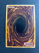 Yugioh Pot of Duality DREV-EN062 Secret Rare Unlimited Edition NM