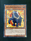 Yugioh Crystal Beast Amber Mammoth SDCB-EN005 Common 1st Edition NM