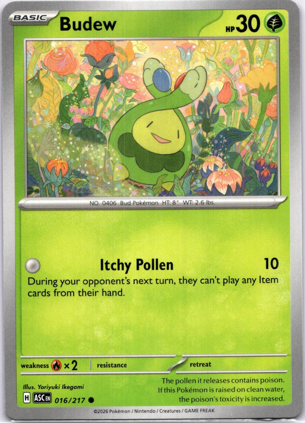 Pokemon Budew 016/217 Ascended Heroes Non Holo NM