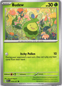 Pokemon Budew 016/217 Ascended Heroes Non Holo NM