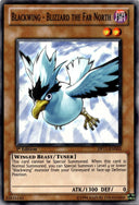 Yugioh Blackwing - Blizzard The Far North DP11-EN003 Common 1st Edition NM
