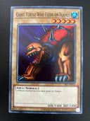 Yugioh Giant Turtle Who Feeds on Flames SRL-EN022 Common Unlimited Ed NM/MINT