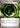 Pokemon Growing Grass Energy 086/088 Perfect Order Holo NM